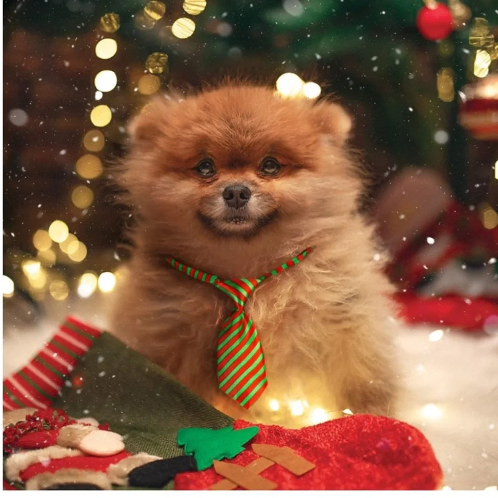 Christmas Necktie Pet Collar Adjustable Dog Cat Clip Buckle  Tie Fits SM Med Lrg - Picture 10 of 12